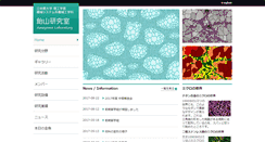 Desktop Screenshot of amelab.se.ritsumei.ac.jp