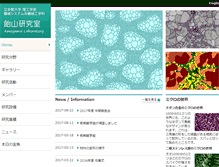 Tablet Screenshot of amelab.se.ritsumei.ac.jp